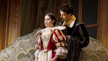 Собака на сене