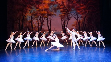 Лебединое озеро