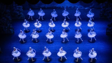 Лебединое озеро