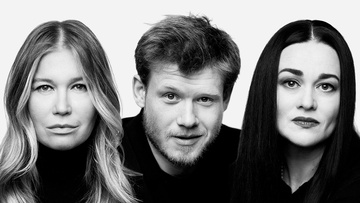 Пролётный гусь