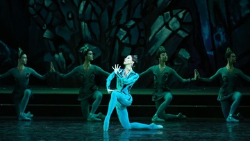 Каменный цветок