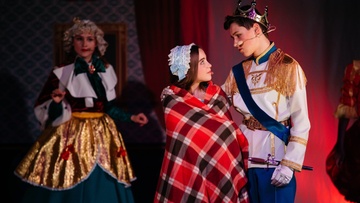 Разыскивается принцесса