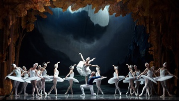 Лебединое озеро