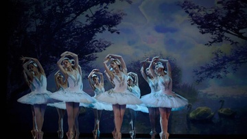 Лебединое озеро