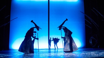 Чёрная курица