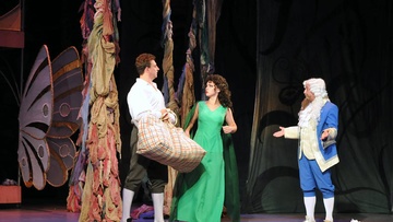 Игра любви и случая