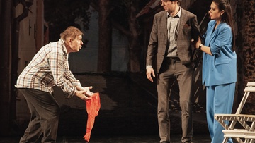 Идеальный свидетель