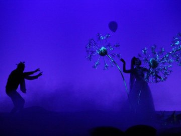 Ёжик в тумане