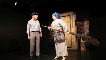 Мой зять украл машину дров