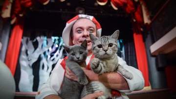 Котобум. Дмитрий Куклачёв