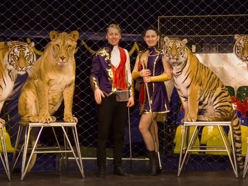 Цирк Династии Довгалюк