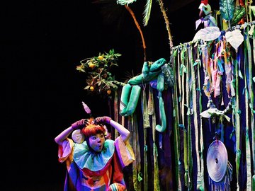 Попугайская история