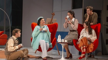 Странная миссис Сэвидж