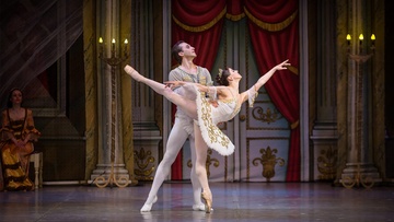 Спящая красавица