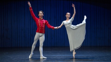 Balletgala / Гала-балет
