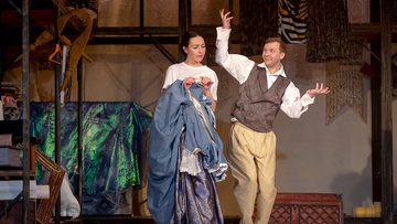 Госпожа Метелица