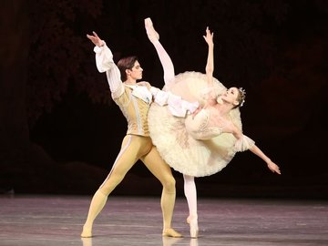 Спящая красавица