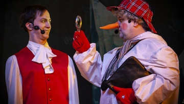 Следствие ведёт Снеговик, или Дело № 202…