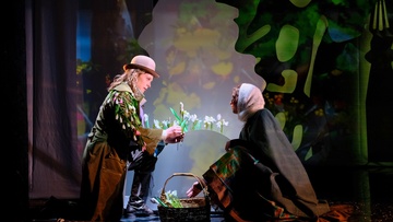 Подснежники для королевы