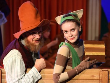 Новые приключения Петсона и Финдуса