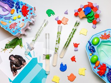 Тайны биотехнологии