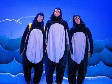 Новый год на острове пингвинов