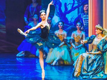 Лебединое озеро