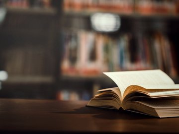Лермонтов. Песня про купца Калашникова
