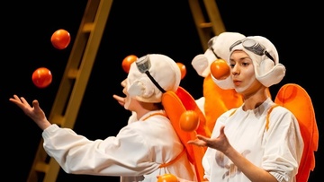 Мандариновый ангел