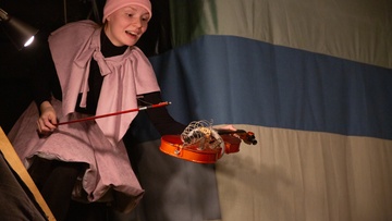 Зимняя бабочка