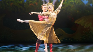 Конёк-горбунок