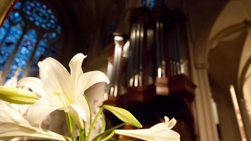 Пасхальный фестиваль органной музыки. Праздничный концерт