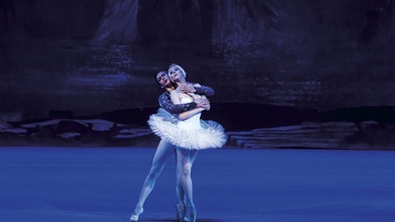 Лебединое озеро