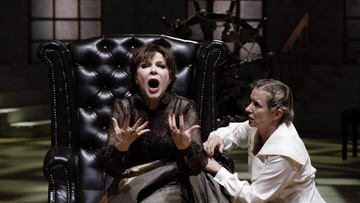 Васса Железнова