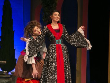 Собака на сене