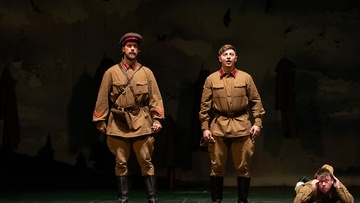 Бессмертники