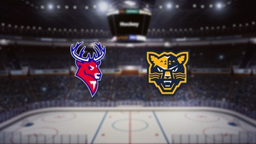 Торпедо — Сочи