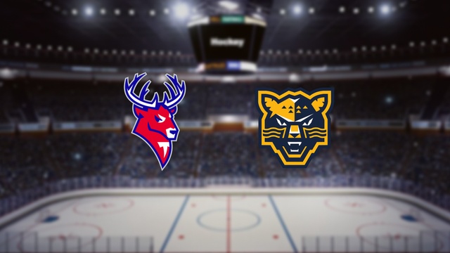 Торпедо — Сочи