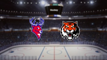 Торпедо — Амур