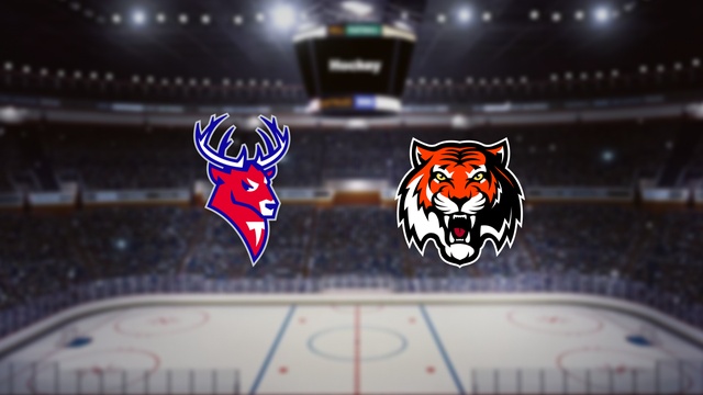 Торпедо — Амур