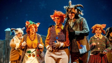 Приключение поросёнка Хрюка