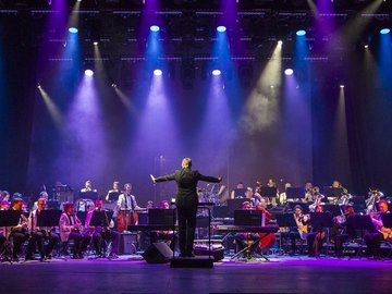 Территория музыки