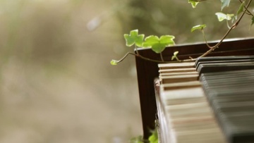 О чём поёт весна!