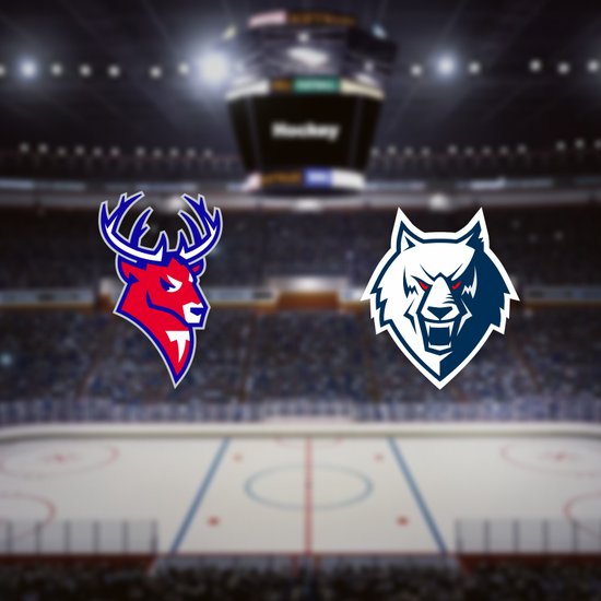 Торпедо — Нефтехимик