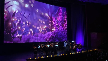 Дудук с оркестром