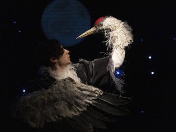 Журавль и цапля