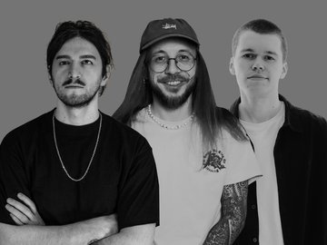 Три гиены