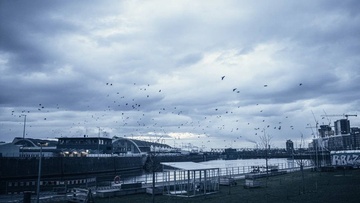 Simple Music Ensemble. Циммер, Арнальдс, Рихтер