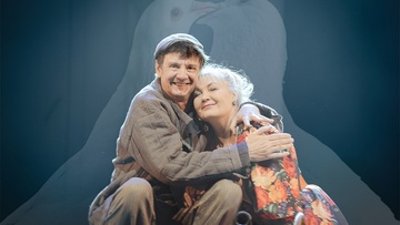 Любовь и голуби