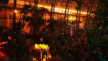 Магия свечей. Саундтреки о любви в оранжерее